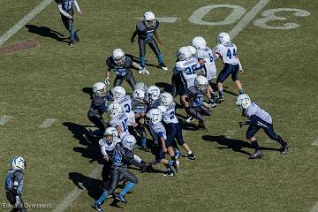 D6-Tackle  (420 of 804)